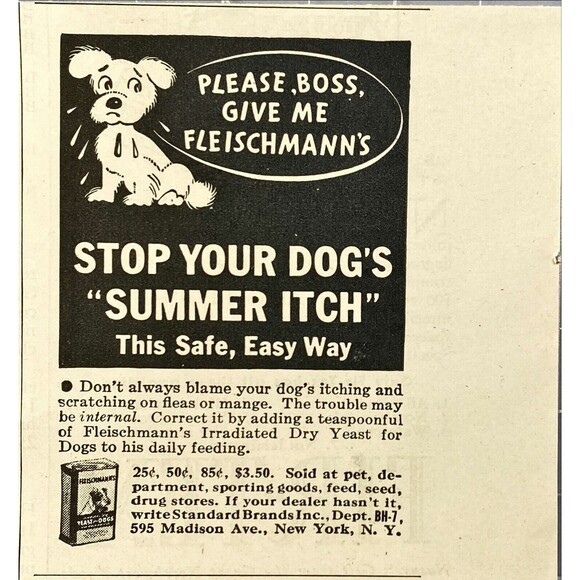 Fleischmann's Dry Yeast Treatment *Stop Your Dog's Summer Itch Vtg Print Ad 1936 - Picture 1 of 3